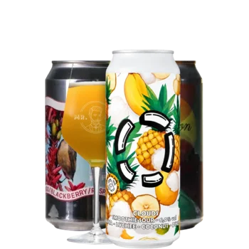 Selectie van smoothie bieren uit ons assortiment