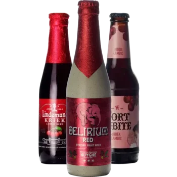 Selectie van fruit bieren uit ons assortiment