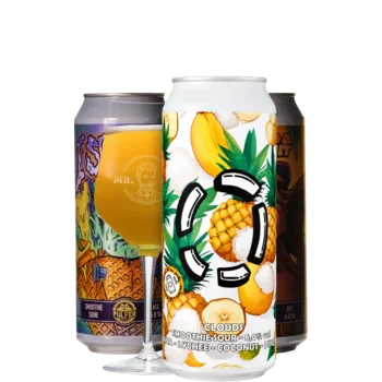Selectie van smoothie bieren uit ons assortiment
