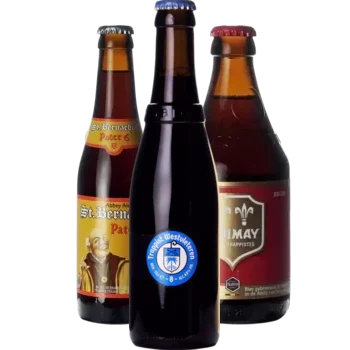 Auswahl von dubbel Bieren aus unserem Sortiment