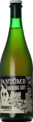 Brasserie Fantôme Avec Burning Sky 75 Saison Bier kopen