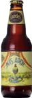 Founders Más Agave 35,5 Zuurbier Bier kopen
