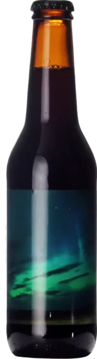 Apynys Brewing Kosmosas 33 Porter Bier kopen