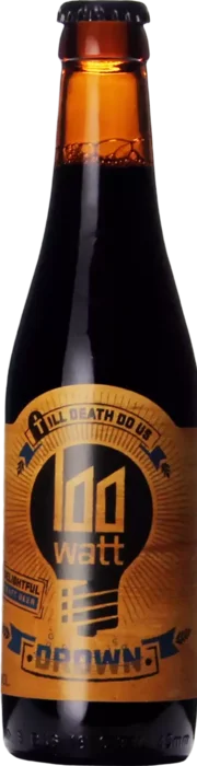 100 Watt Till Death Do Us Drown 33 Stout Bier kopen