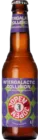Jopen Intergalactic Collision 33 IPA Bier kopen
