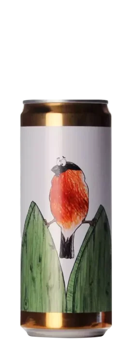 Brewski / Green Bench Split Vision 33 IPA Bier kopen