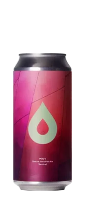 Polly's Brew Sentinel 44 IPA Bier kopen