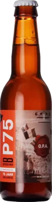 Berging P75 Orange Pale Ale 33 Pale Ale Bier kopen