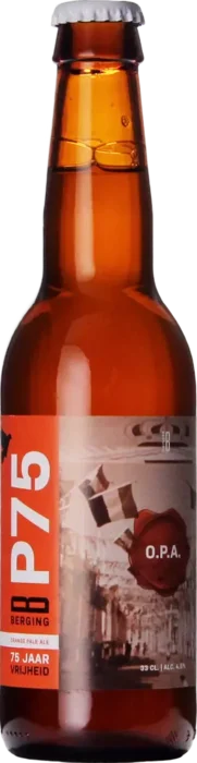 Berging P75 Orange Pale Ale 33 Pale Ale Bier kopen