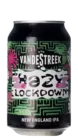 VandeStreek Hazy Lockdown 33 IPA Bier kopen
