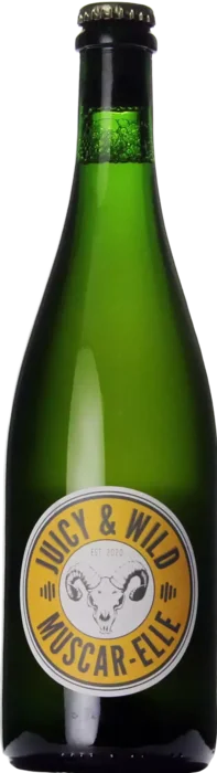 Lambiek Fabriek Muscar-Elle 75cl 75 Zuurbier Bier kopen