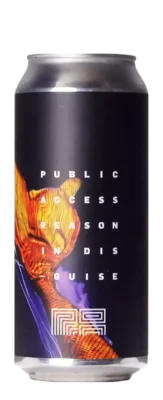 Public Access Reason In Disguise 47,3 IPA Bier kopen