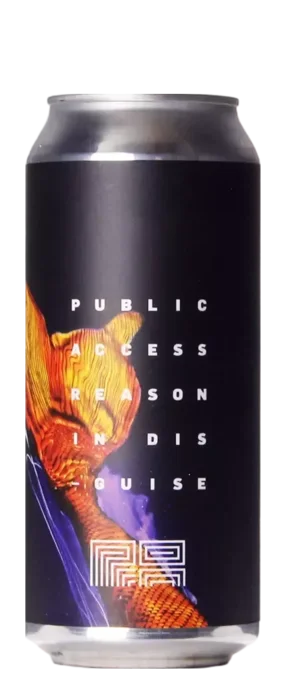 Public Access Reason In Disguise 47,3 IPA Bier kopen