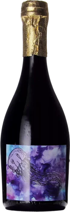 Barreled Souls / Vitamin Sea A Jellyfish Called Hazelnut 47,3 Stout Bier kopen