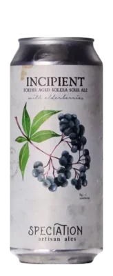 Speciation Artisan Ales Incipient (Elderberry) 47,3 Zuurbier Bier kopen