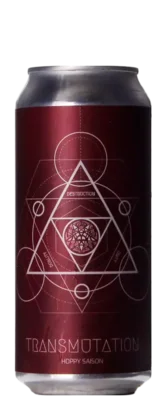 Adroit Theory Transmutation (Ghost 865) 47,3 Saison Bier kopen
