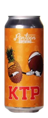 Pontoon Brewing Kill The Pain 47,3 Zuurbier Bier kopen