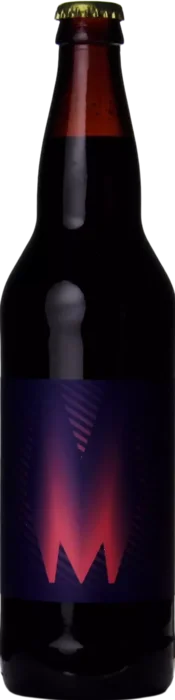 Cycle Monday (2021) 65 Stout Bier kopen