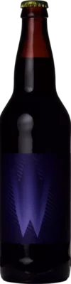 Cycle Wednesday (2021) 65 Stout Bier kopen