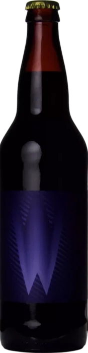 Cycle Wednesday (2021) 65 Stout Bier kopen