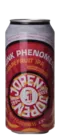 Jopen Phunk PhenomeNel 44 IPA Bier kopen