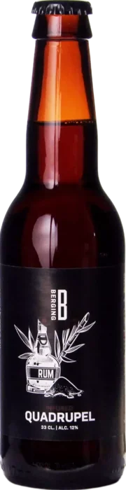 Berging QD22 Rum Infused Quadrupel 33 Quadrupel Bier kopen