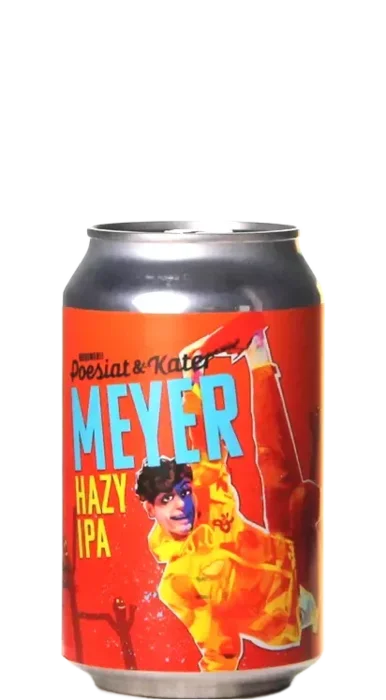 Poesiat & Kater Meyer Hazy IPA 33 IPA Bier kaufen