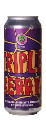 Hopito Triple Berry 50 Zuurbier Bier kopen