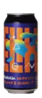 Walhalla Elixer XIII - Cryo Pop & Idaho7 44 IPA Bier kopen