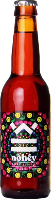 De Werf Nòhéy 33 Sauerbier Bier kaufen