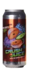 Mast Landing Crush Juice 47,3 IPA Bier kaufen