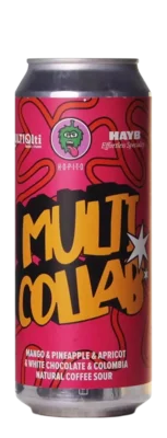 Hopito Multi Collab 50 Zuurbier Bier kopen
