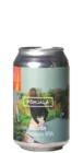 Põhjala Suvila 33 IPA Bier kaufen