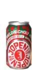 Jopen Up On Melon-Choly Hill 33 Pils Bier kaufen