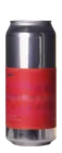 Finback Brainalyzer 47,3 IPA Bier kaufen