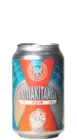 Jopen / Monnik Kaitiakitanga 33 IPA Bier kopen