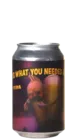 Lobik This Is What You Needed All Along 33 IPA Bier kopen