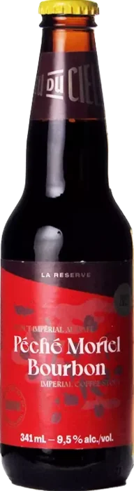 Dieu du Ciel Péché Mortel Bourbon 34,1 Stout Bier kaufen