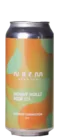 Norm Brewing / Mount Holly Beer Vermont Connection 44 IPA Bier kopen