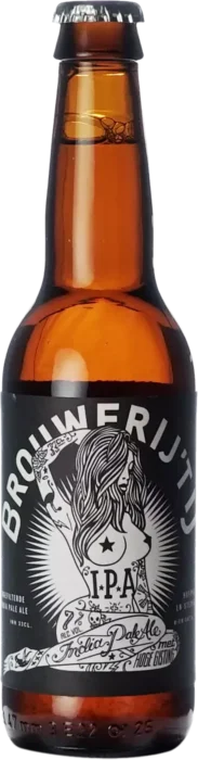 't IJ IPA 33 IPA Bier kopen