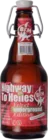 BFM Highway To Helles Velvet Underground Edition 33 IPA Bier kopen