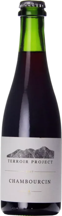 Side Project Terroir Project (Chambourcin 2017) 37,5 Buitenbeentje Bier kopen
