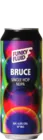 Funky Fluid Bruce 50 IPA Bier kopen