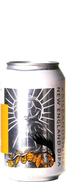Hooglander #RiseAndShine 33 IPA Bier kopen