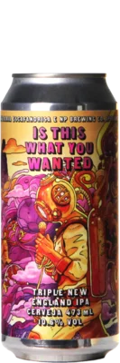 Cervejaria Escafandrista / NP Brewing Is This What You Wanted 47,3 IPA Bier kopen
