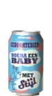 Brouwerij Stijl Geboortebier 33 Amber Bier kopen