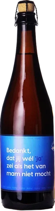 Danke, dass du Ja gesagt hast, als meine Mutter mich nicht gelassen hat Tripel 75cl 75 Tripel Bier kaufen