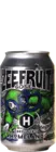 Homeland Zeefruit 33 Sauerbier Bier kaufen