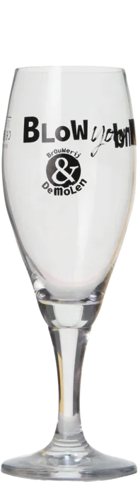 De Molen Voetglas 25cl 25 Bier kaufen