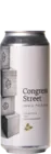 Trillium Congress Street 47,3 IPA Bier kopen